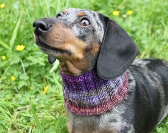 KNITTING PATTERN, Dachshund Neck Warmer, dog cowl, wiener dog, wiener warmer, doxie, pet clothes, mini dachshund, rainbow, knit, knitted