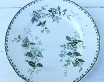 Vintage French 1900 Saint Amand Hamage Caiffa transferware Floral pattern plate