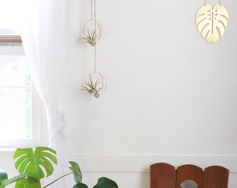 Metal Dome Air Plant Hanger | Air Plant Holder | Air Plant Hanger | Air Plant Planter | Airplant Holder | Airplant Hanger | Display