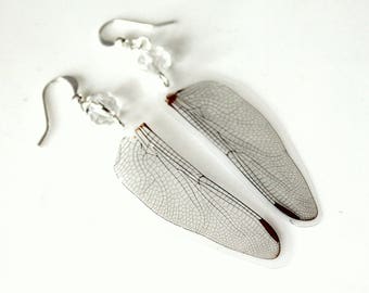 Real Dragonfly Wing Earrings, Damsel Fly Earrings, Natural History Jewelry