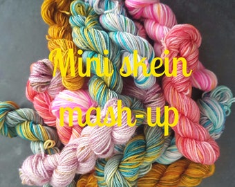 Mini Skein Mash-Up