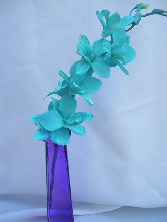 4 Stems Malibu Turquoise Dendrobium Orchid Silk Flower Stems