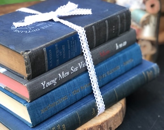 Vintage Book set of 4 (grays and blues)