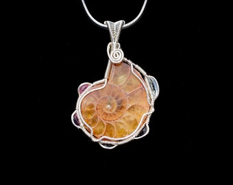 Ammonite Tourmaline Garnet and Aquamarine Wire Wrapped Pendant, Wire Wrap, Tourmaline Wire Wrap, Heady Wire Wrap, Wire Wrapped Jewelry