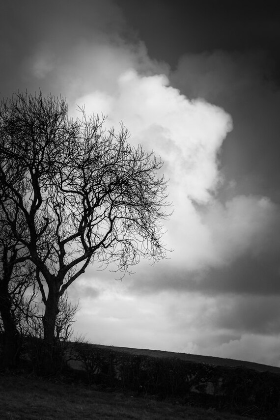 Ireland Print Irish Landscape Black and White Photograph