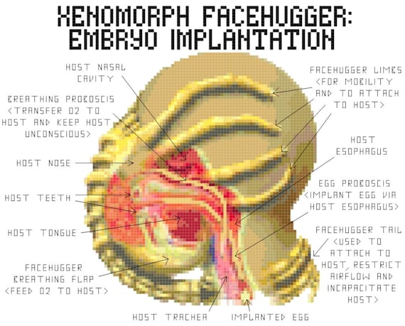 Facehugger Implantation Cross Stitch Pattern