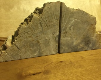 petrifed wood bookends
