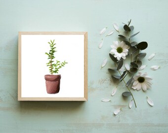 Miniature Plant Print Art, Tiny Art Prints, Dorm Wall Art, Botanical Prints, Small Art, Small Paintings, Plant Art, Dorm Decor