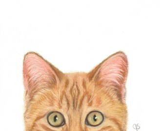 Cat Art, Orange Cat Art, Orange Tabby Cat, Orange Cat Peek A Boo