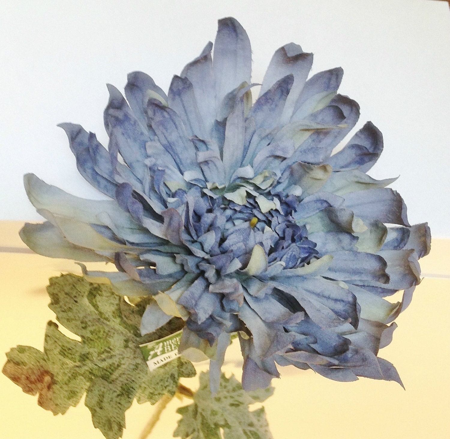 LOT of THREE 31" Spider Mums each with 5" Bloom & 3 Leaves * choice of