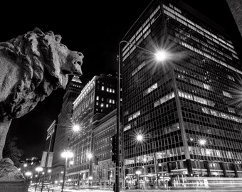 Art Institute Lion IV
