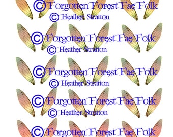Assorted Printable Autumn fairy wings