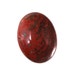 Dino Bone Cabochon 30 x 40mm C13