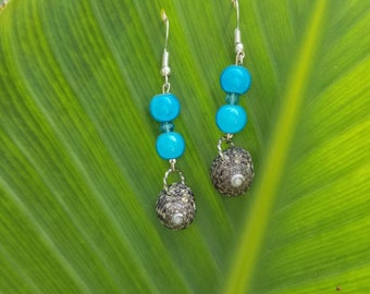 Silver Fishhook Earwires with Beached Shell with Turquoise Beads