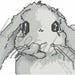 Sweet Bunny, cross stitch embroidery machine design, digital file, suitable for kitchen towels, bath towels, Easter panels, good as gift