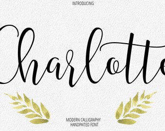 Blingtastic Script Modern Calligraphy Font Script Font