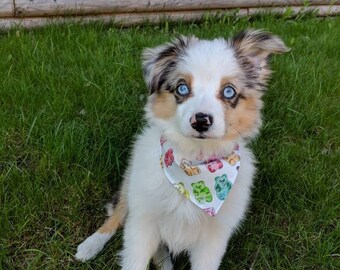 Over Collar Pet Bandana | Dog & Cat Accessories | Gummy Bears