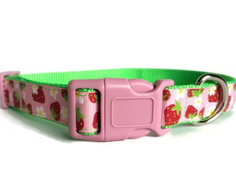 Pink and Strawberry Dog Collar - Adjustable, Daisy, Cottage Chic, Girl Dog