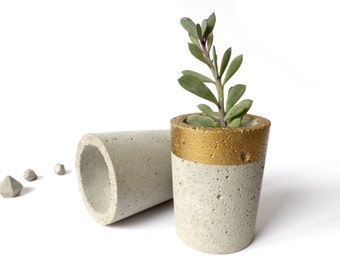 Concrete Pot for Succulent Cactus Grey Gold Urban Industrial Planter Home Decor