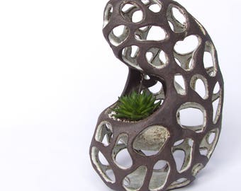 Ceramic Airplant display or Succulent Planter
