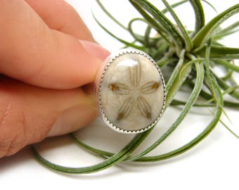 Little Fossilized Sand Dollar Silver Ring No. 2