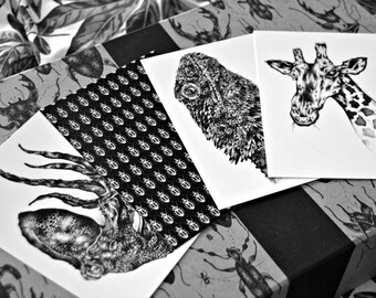 Animalia pack