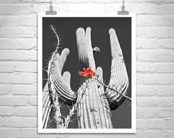 Cactus Art, Desert Photography, Southwest Art, Saguaro Picture, Abstract Art, Tucson Gift, Arizona Gift, Western Picture, Desert Cactus Art