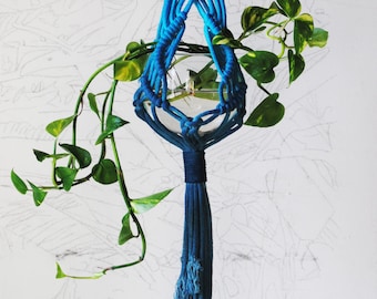 Macrame Plant Hanger