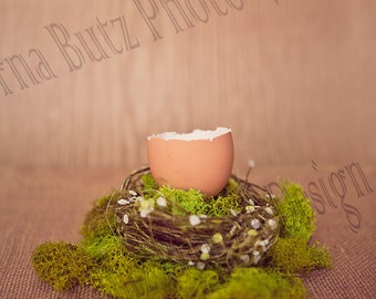 Cute Easter Egg digital background for Creatives in Photoshop Add a Newborn Baby Instant download digital background Egg on Moss or twigs