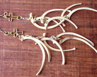 Rib bone earrings, real bone jewelry, Taxidermy jewelry