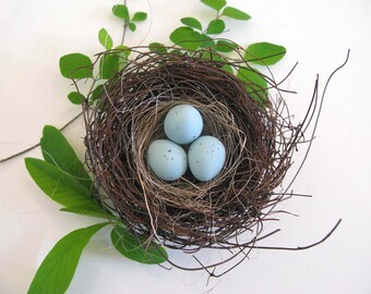 Natural bird nest with eggs, Nest with eggs, Bird nest, Robin eggs