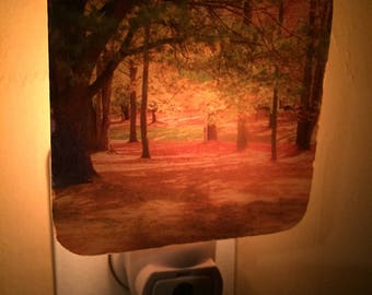 Night Light - Autumn