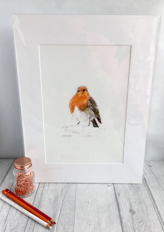 robin print fine art giclee print garden bird art