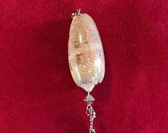 Olive Shell Sea Glass Pendant
