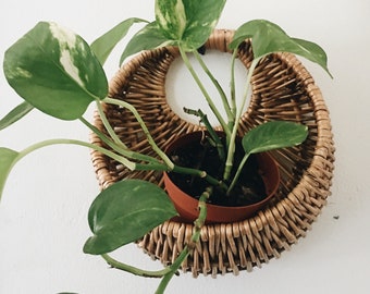 Hanging woven plant basket // wall plant basket // indoor wicker planter