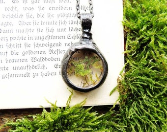 Valentine Gift,terrarium jewelry, tiny Real Moss Necklace, terrarium necklace, dried moss, Real moss necklace, botanical, real plant jewelry