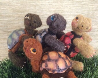 Little "gourded" tortoises
