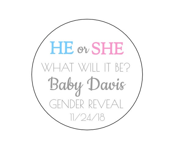 12 He or She What Will it Be Stickers Gender Reveal Labels