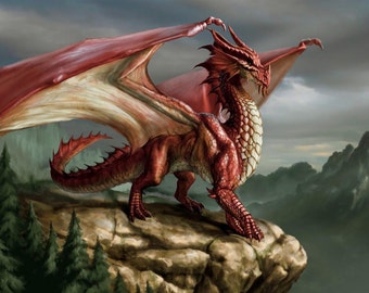 Dragon # 20 - 8 x 10 - T Shirt Iron On Transfer
