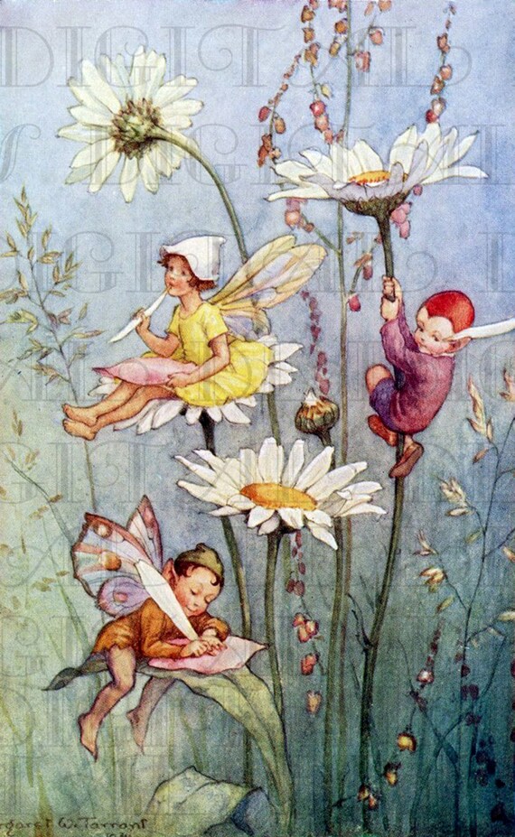 Fairy Writing On FLOWERS. Vintage Book Plate Illustration.