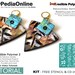 Polymer Clay, PDF Tutorial, DIY Kit, Stencil, Crafting Polymer Clay, Polymer Clay Pattern, Polymer Clay Jewelry, Polymer Clay Tutorial, Ink