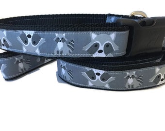 Dog Collar and Leash, Raccoon, 6ft lead, 1 inch wide, adjustable, quick release, metal buckle, chain, martingale, hybrid, nylon