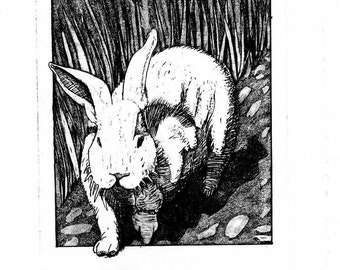 Year of the Rabbit