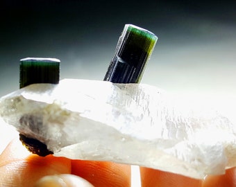 31 Gram Top Quality Terminated & Undamaged Green Cap twins Tourmaline crystal On quartz