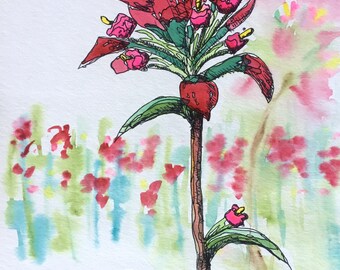 Indian Paintbrush 8x10 watercolor floral painting by Nan Henke, original