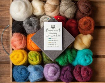 Needle Felting Kit - Beginner - DIY Kit - Starter - Wool Batting - Wool Roving - Gift - Learn a New Craft - Creative - Craft Kit - Tutorial