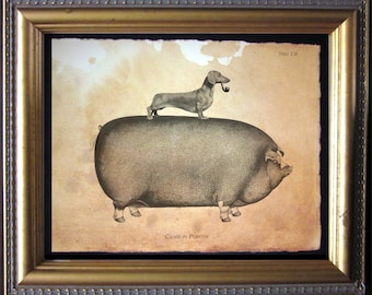 Dachshund Wiener Dog Riding Pig - Vintage Collage Art Print on Tea Stained Paper - dog art - dog gifts -- father's day gift