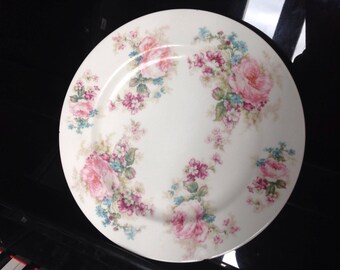 VERY RARE HAVILAND draft Unique 1905 Limoges porcelain plate