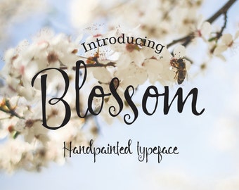 Font bundle 5 fonts for 5 dollars - handwritten calligraphy -commercial license included -digital font download -wedding font, cursive font