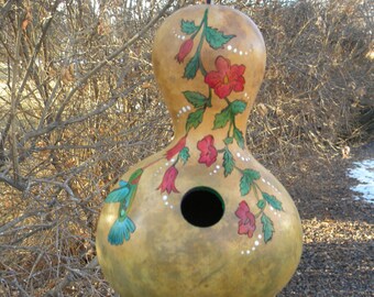Gourd Birdhouse #11 - Hummingbird with Flowering Vine